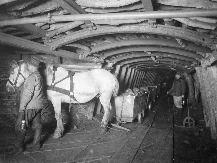 Ein Kohlenzug auf dem Weg zum Schacht. In Sonderfällen darf der Pferdeführer im ersten Wagen mitfahren. Zeche_Oberhausen 05